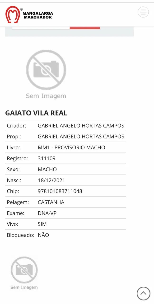 Cavalo manga larga registrado 