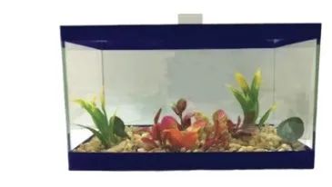 Betteira 4L - Foto 3