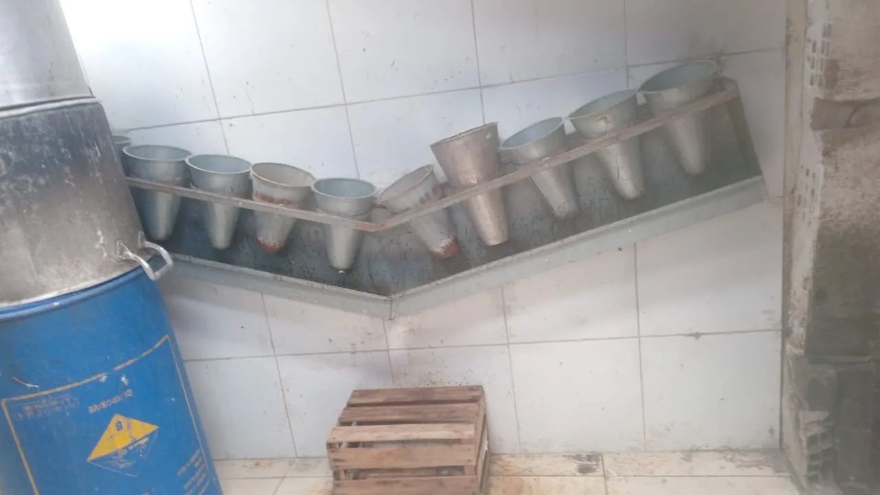 Peças para depenar frango  - Foto 2