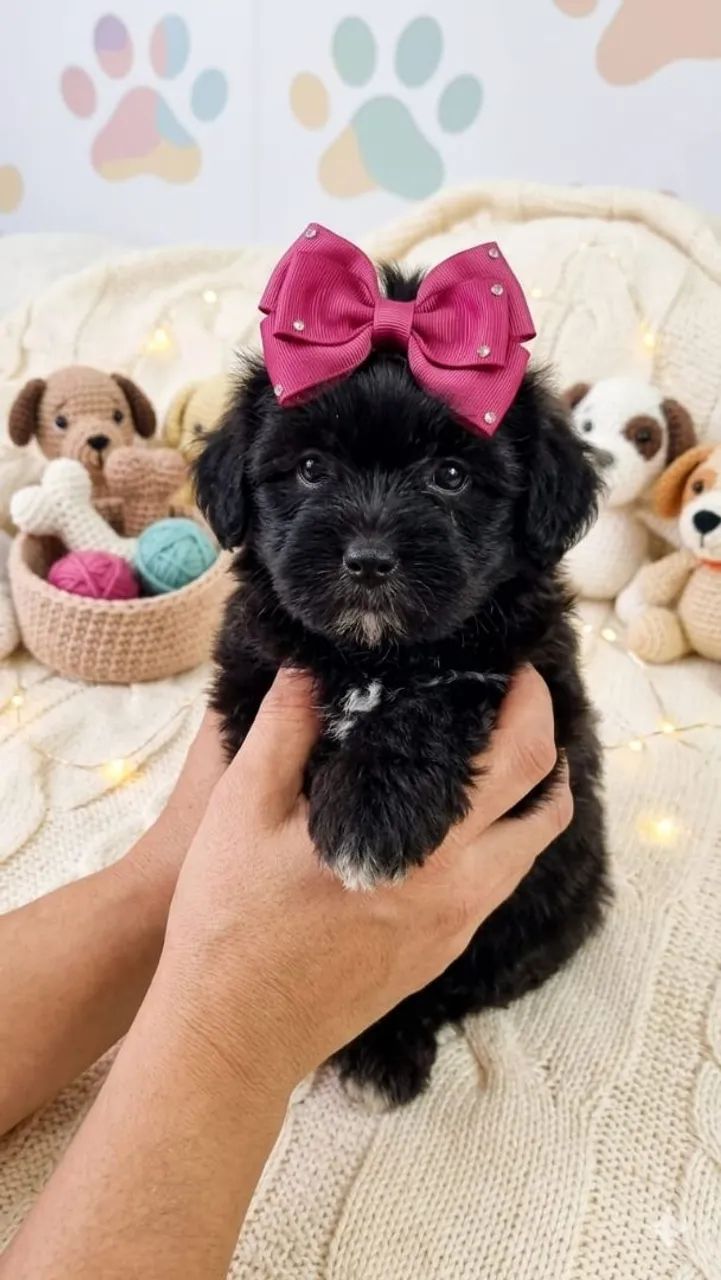 Baby Pets Baby - Foto 4