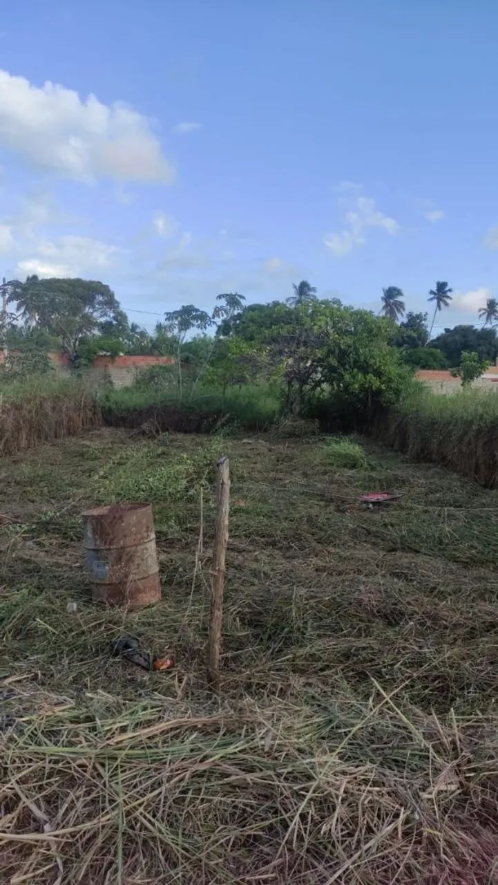 Venda de um  lote - Foto 4