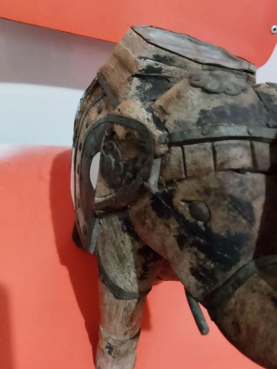 Elefante Indiano  - Foto 4