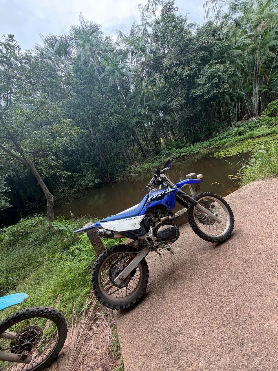 CRF 230f  - Foto 5