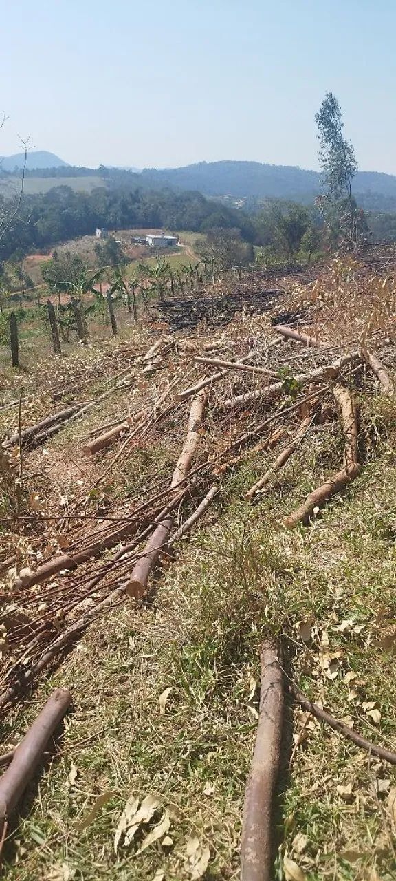 Terreno para sítio em Nazaré  - Foto 3