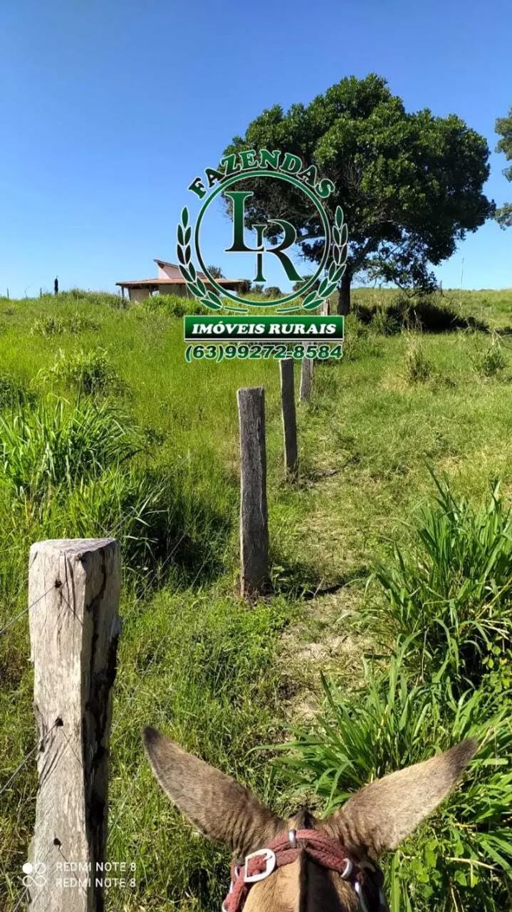 Fazenda 662 alqueires estado Pará - Foto 4