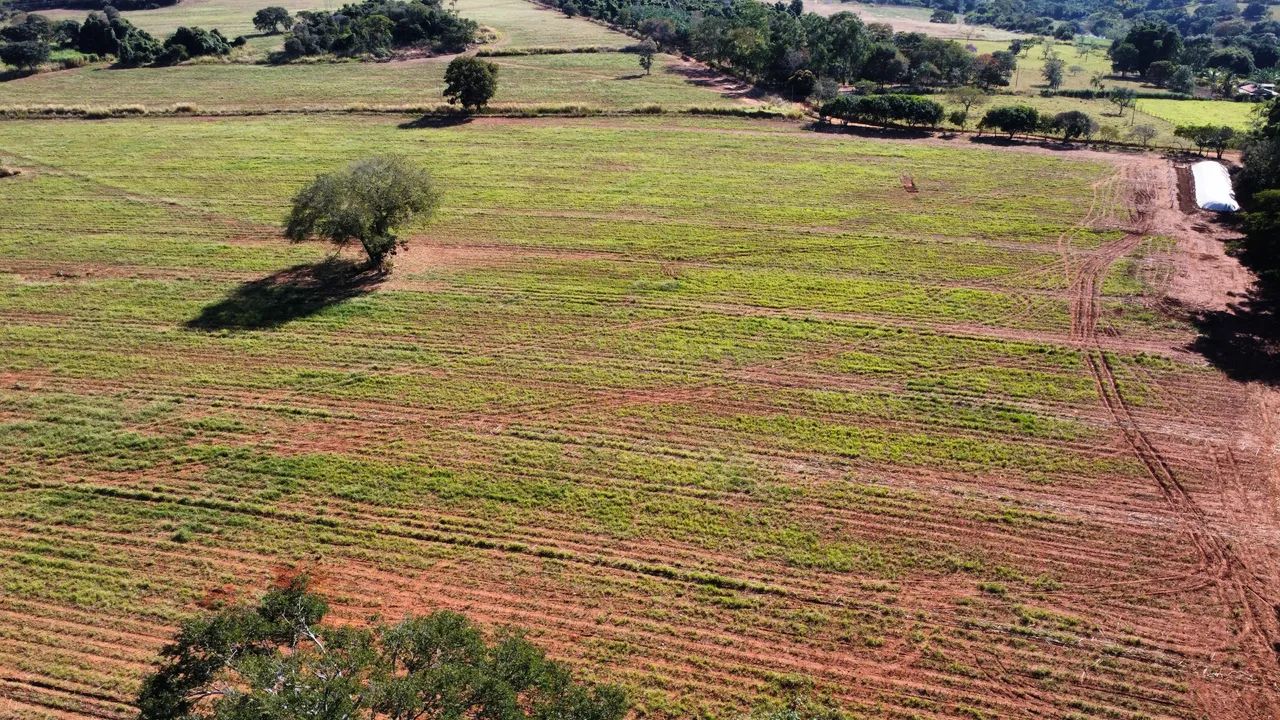 Sítio 7.3 Alqueires a 32 km de Goiânia  - Foto 4
