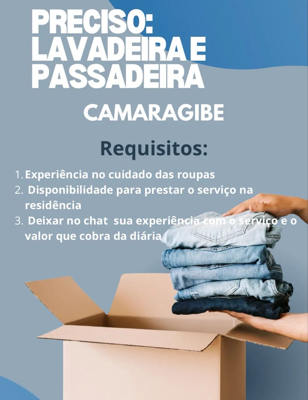 Preciso: lavadeira e passadeira 