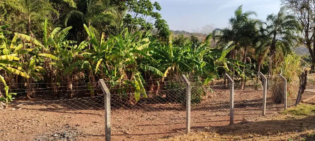 chacara em Aragoiania - Foto 4