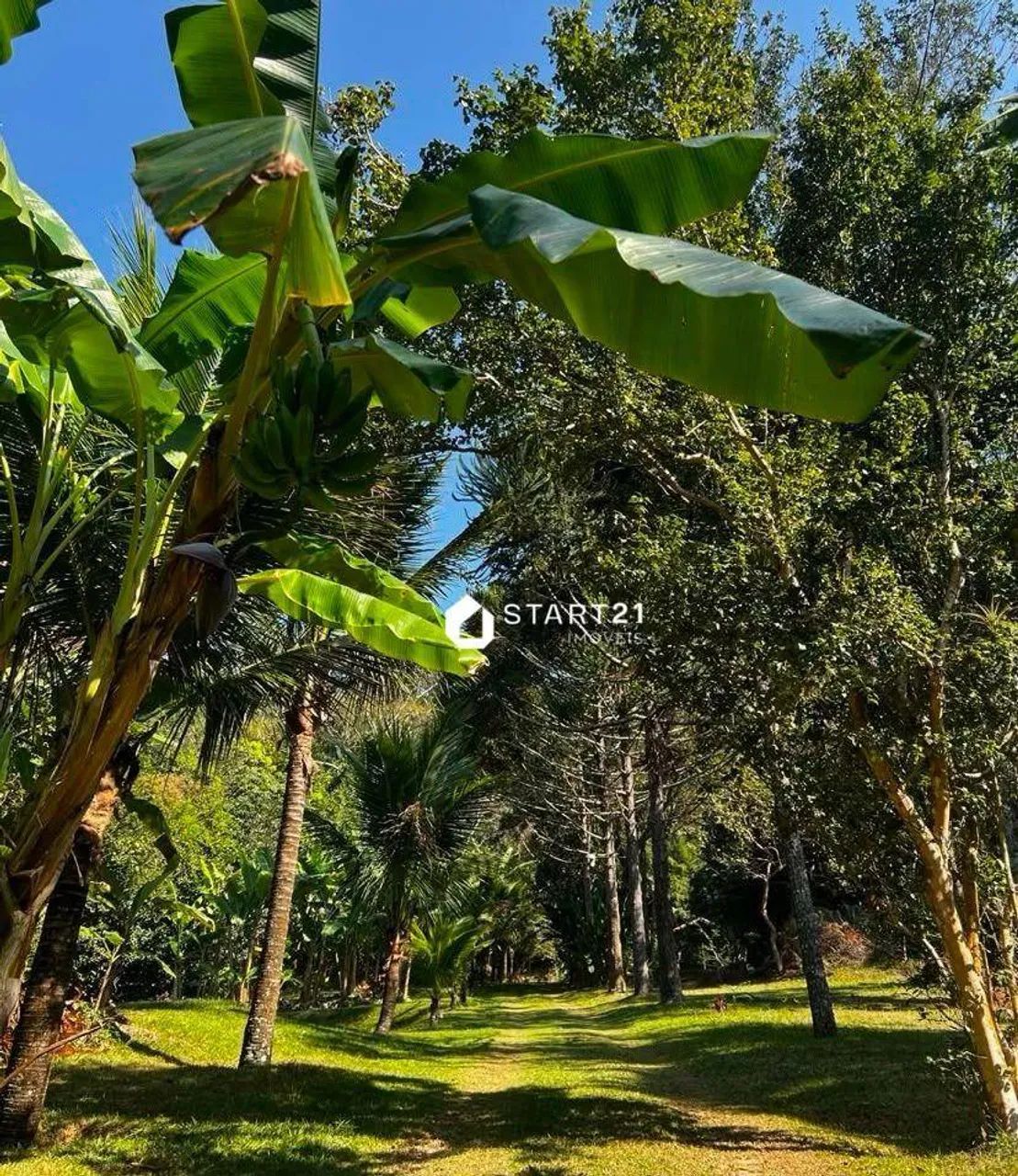 Chácara com 2 dormitórios à venda- Vale Verde - Valença/RJ - Foto 4