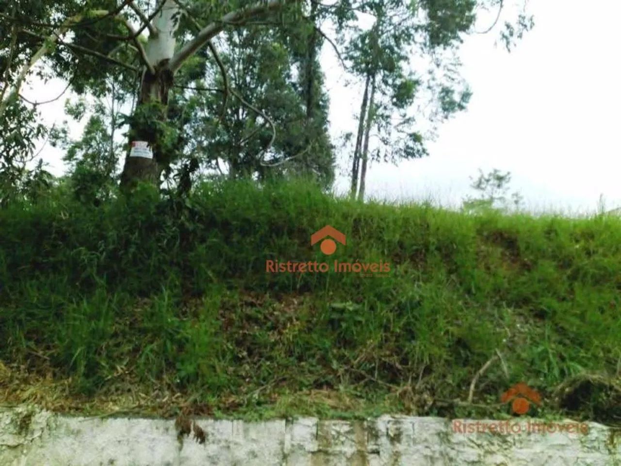 Terreno à venda, 494 m² por R$ 510.000,01 - Parque dos Príncipes - São Paulo/SP - Foto 9