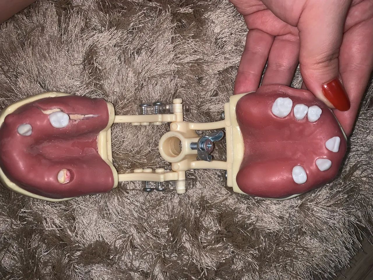 Manequim odontológico cirurgia  - Foto 4