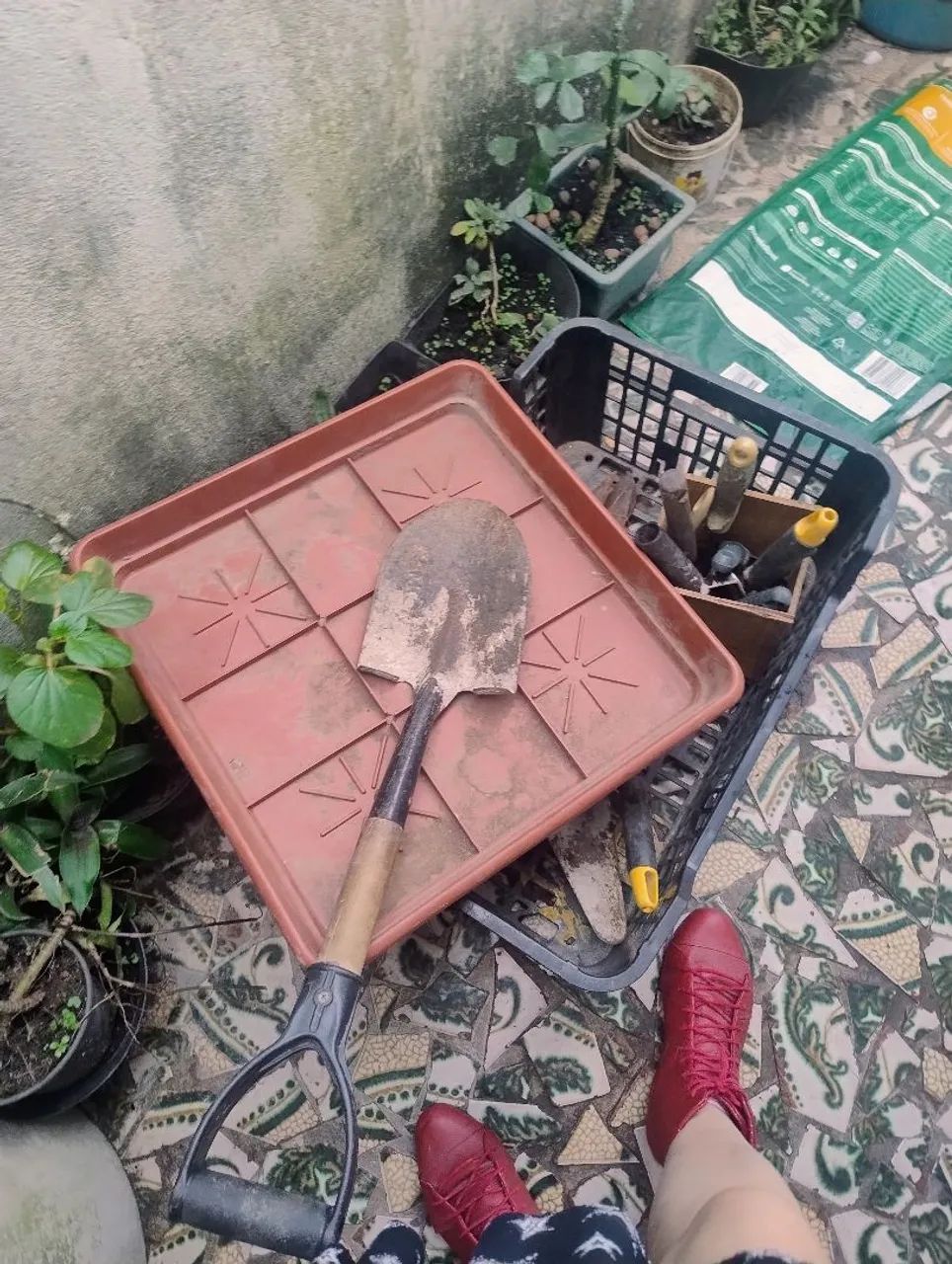 Doação artigos jardinagem  - Foto 2