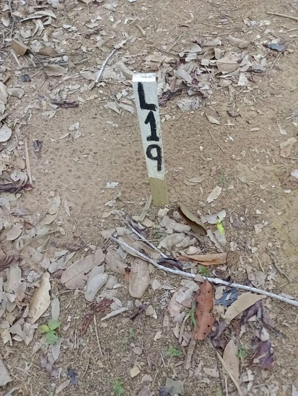 vendo trreno muito barato - Foto 4