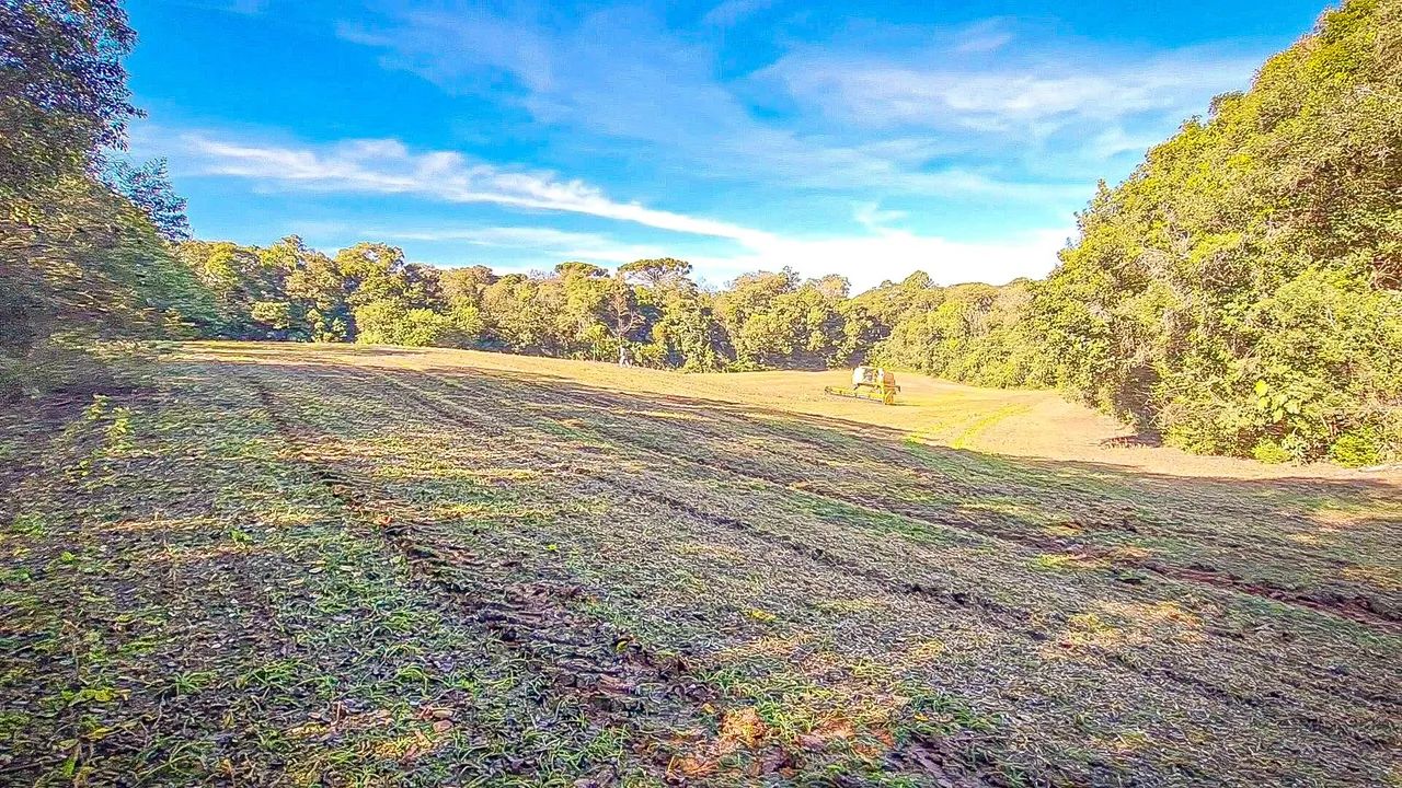 Chacara perto centro Araucária 3km