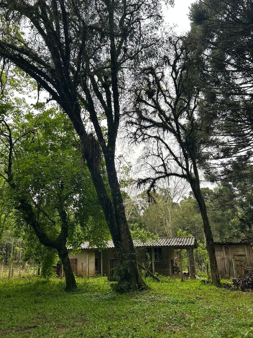 Venda terreno 30.000 - Foto 3
