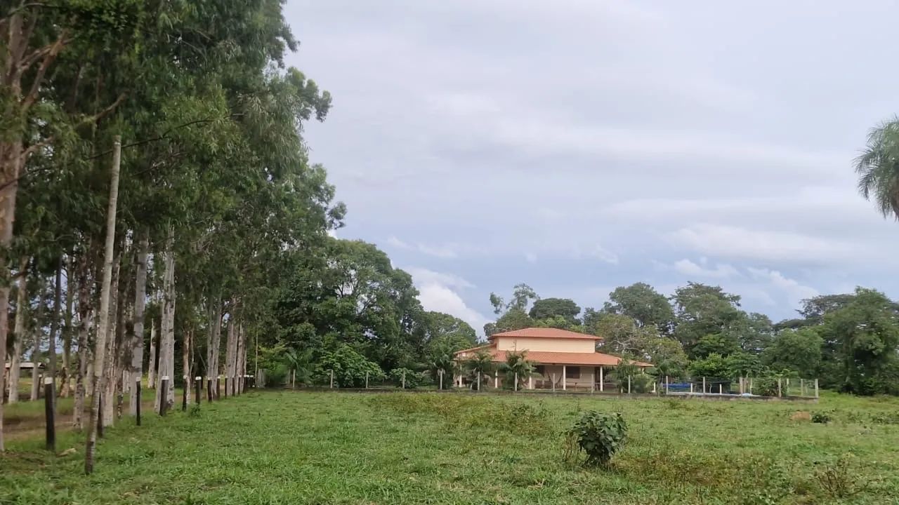 Fazenda à venda colmeia Tocantins - Foto 3