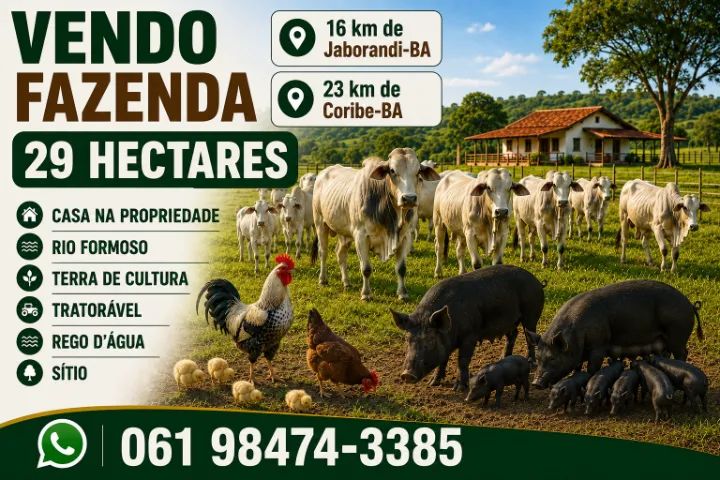 Fazenda 29 hectares | Jaborandi-BA / Coribe-BA