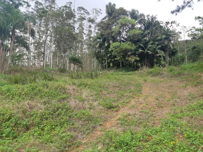 Terreno RIO DOS CEDROS - SC