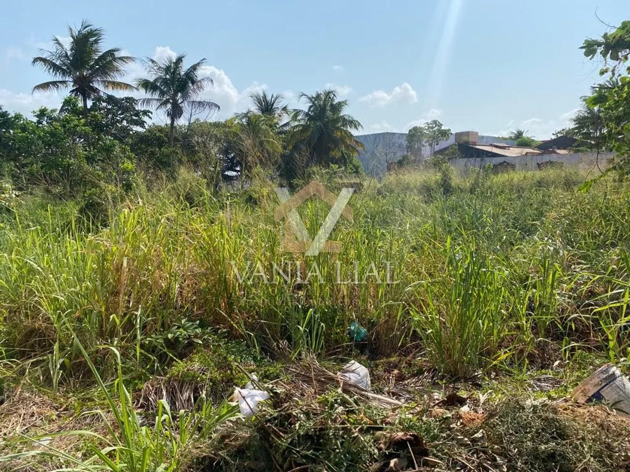 Terreno em Destacado - Salinópolis, PA - Foto 3