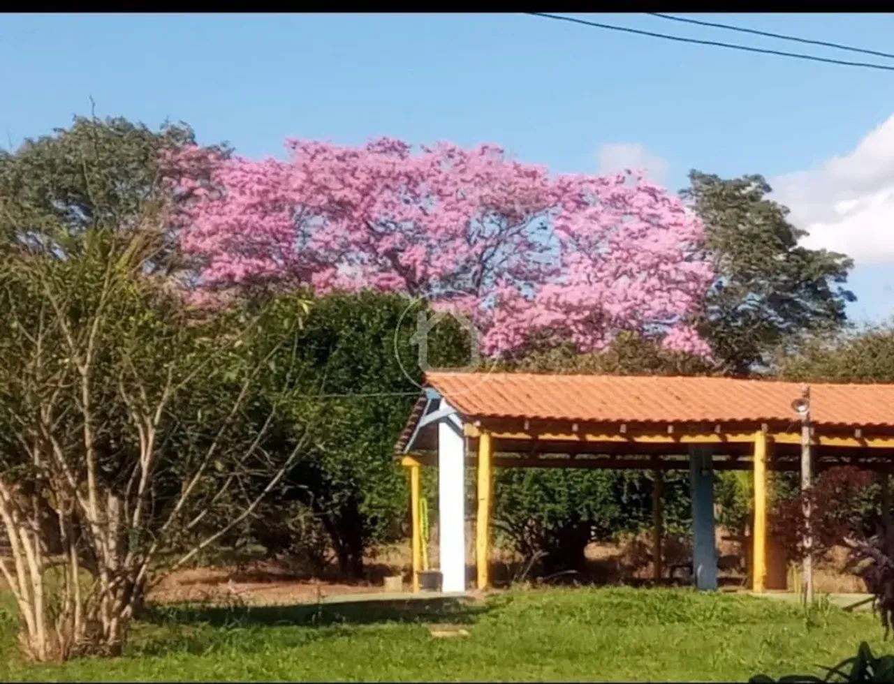 CHACARA em Aquidauana - Foto 4
