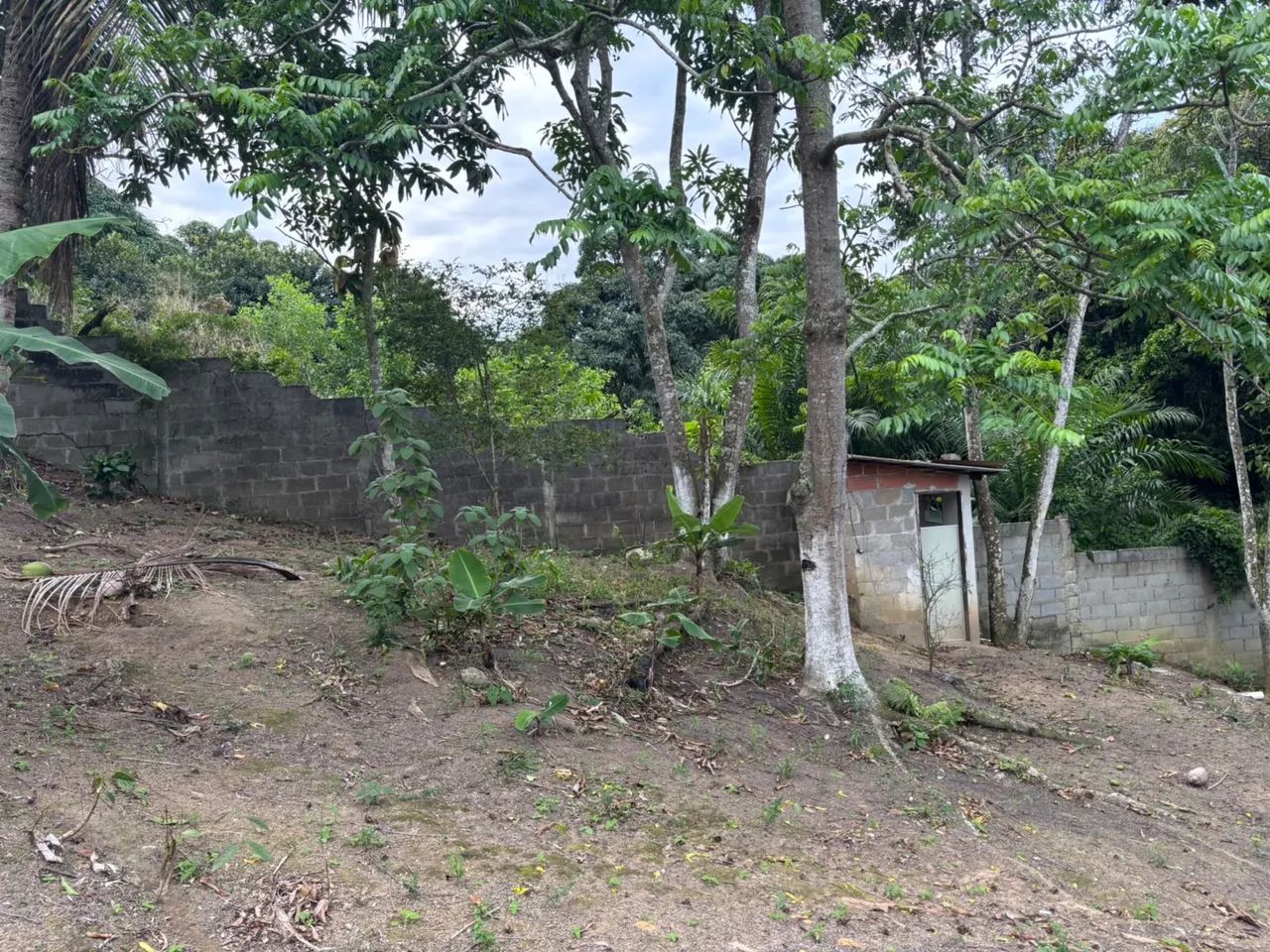 Chacrinha 600m2 - Foto 5