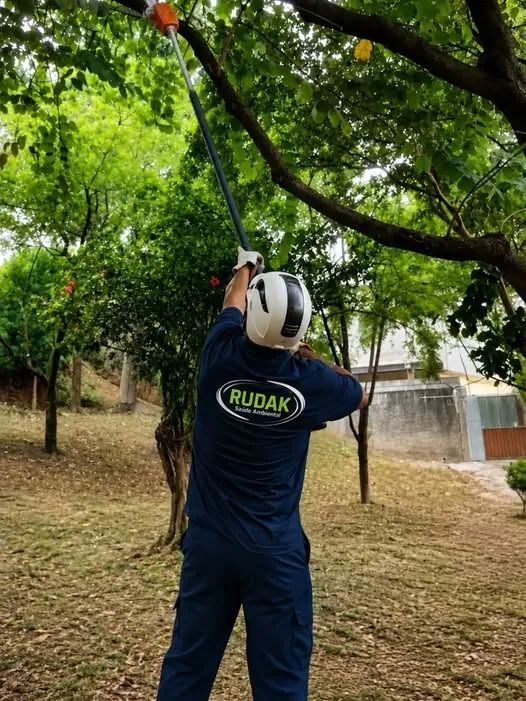 Poda de Arvores Roçagem e Limpeza de Terrenos