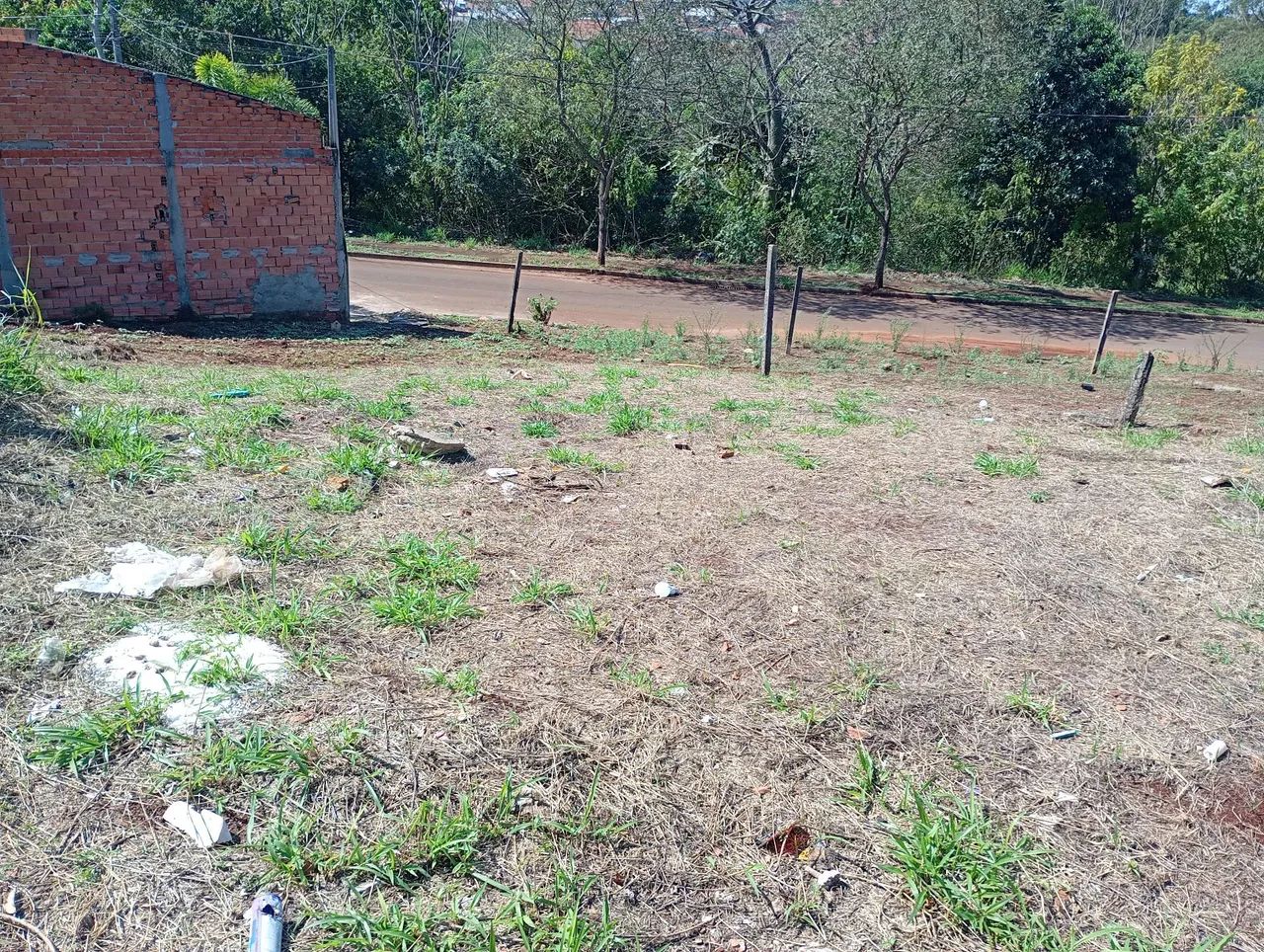 Terreno à venda - Foto 3