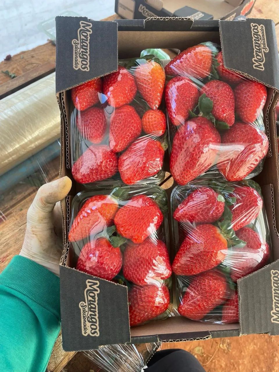 Morango fresco direto do produtor