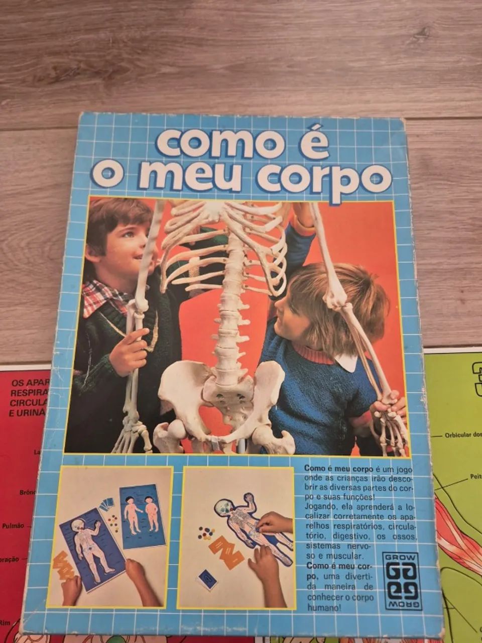 Jogo de Tabuleiro - Como É Meu Corpo - Grow - Completo - Foto 3