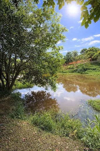 Rural Chácara em Santa Isabel - Foto 5