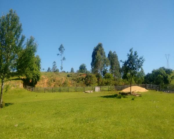 Sítio 46 hectares - lomba grande - novo hamburgo - rs - Foto 11