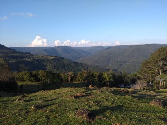 Sítio 12,0 hectares - samambaia - são francisco de paula - rs - Foto 16