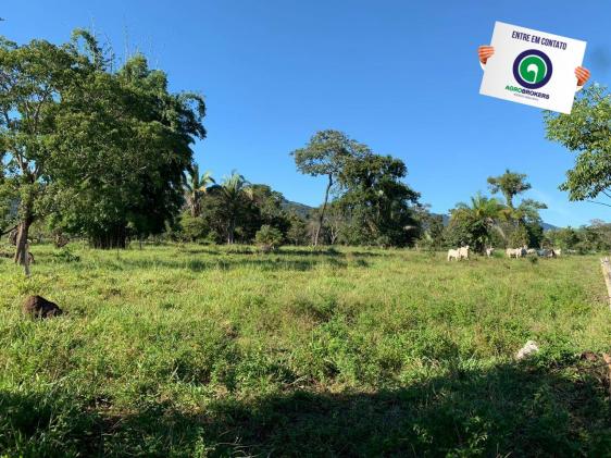 Fazenda região de rosário oeste - Foto 15