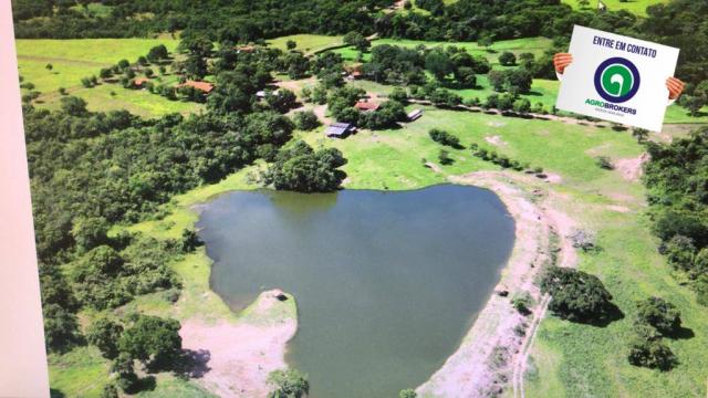 Fazenda 1.455ha região de rosário oeste - Foto 5