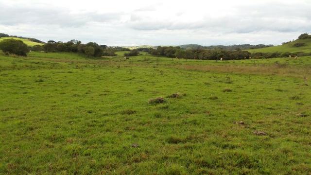 Área especial para sitio ou hortifrutigranjeiros com 12.5 HA - Foto 11