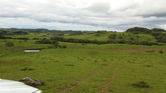 Área especial para sitio ou hortifrutigranjeiros com 12.5 HA - Foto 16