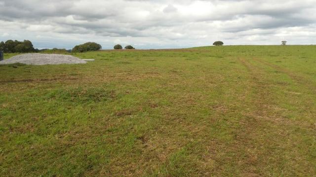 Área especial para sitio ou hortifrutigranjeiros com 12.5 HA - Foto 5