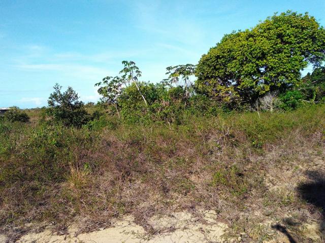 Terrenos em Nova Cabrália, áreas planas - Foto 4