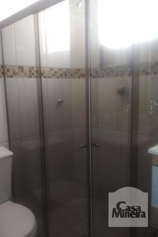 Apartamento à venda com 3 dormitórios em Jardim montanhês, Belo horizonte cod:252172 - Foto 8