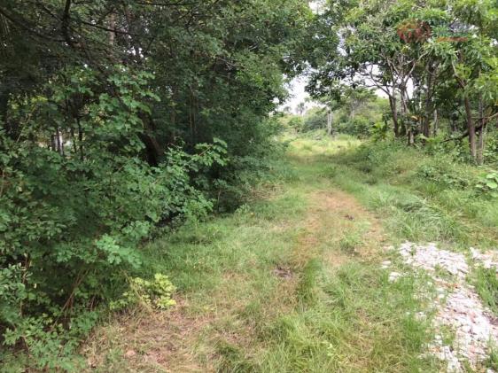 Terreno rural à venda, zona rural, barreirinhas - te0144. - Foto 3