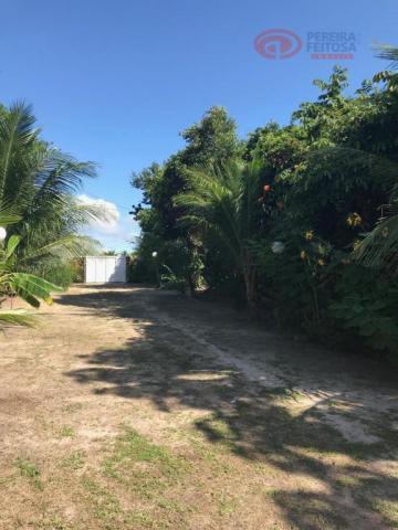 Chácara à venda, 38 m² por R$ 1.100.000 - Iguaíba - Paço do Lumiar/Maranhão - Foto 12