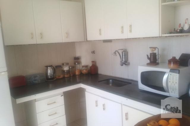 Apartamento à venda com 3 dormitórios em Jardim montanhês, Belo horizonte cod:252172 - Foto 9