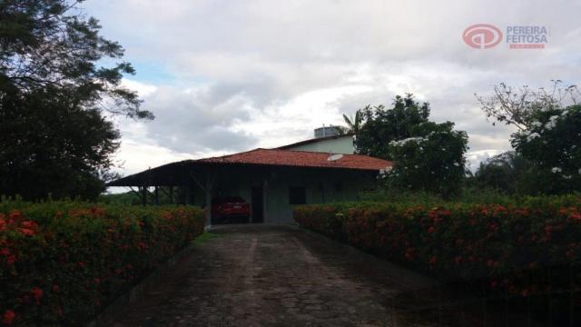 Chacara com pomar. - Foto 3