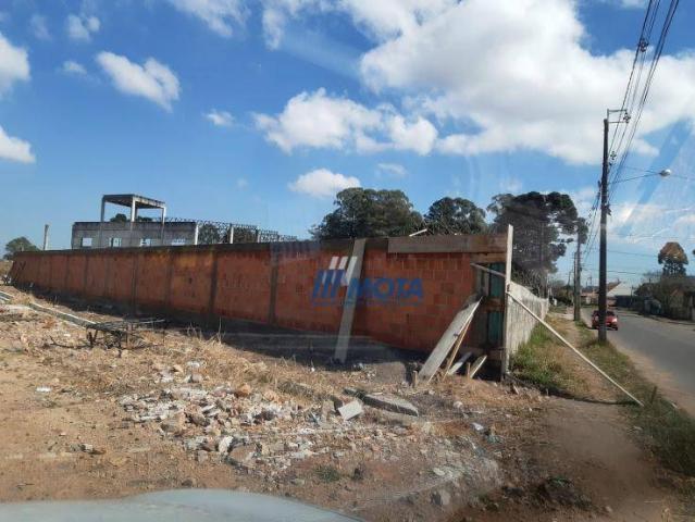 Terreno a venda são josé dos pinhais, bairro rio pequeno 2.446,74m2 - Foto 6
