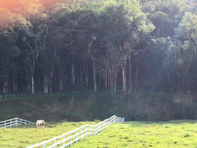 Barbada essa semana Sítio Santo Amaro