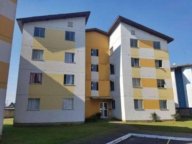 Apartamento 2 Quartos - Afonso Pena/Parque da Fonte - São José dos Pinhais - Foto 14