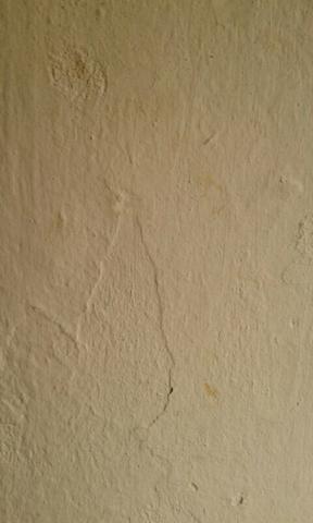 Vamos deixar a casa nova? Para quem sabe que sua casa tem estar bela - Foto 5