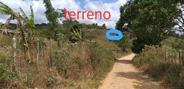 Terreno mulungu- comunidade catolé - Foto 7