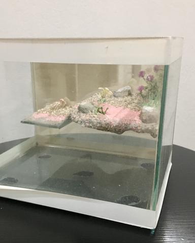 Terrário para tartaruga - Foto 2
