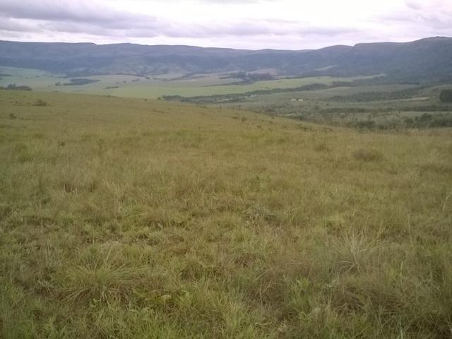 Chácaras Agroecológicas - Foto 5